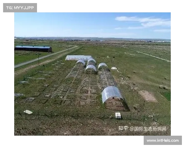 俱乐部升级草皮,多地更换热系统以提升质量 俱乐部升级草皮,多地更换热系统以提升质量
