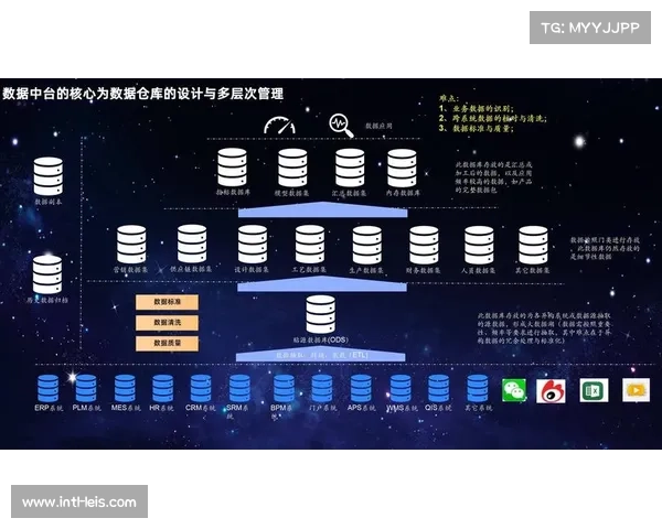 体育数据治理组织架构优化，明确首席数据官职责与权限